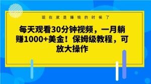每天观看30分钟视频,一月躺赚1000+美金!保姆级教程,可放大操作【揭秘】-学习资源库