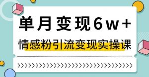 单月变现6W+，抖音情感粉引流变现实操课，小白可做，轻松上手，独家赛道【揭秘】-学习资源库