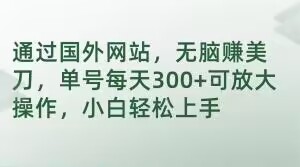 通过国外网站，无脑赚美刀，单号每天300+可放大操作，小白轻松上手【揭秘】-学习资源库