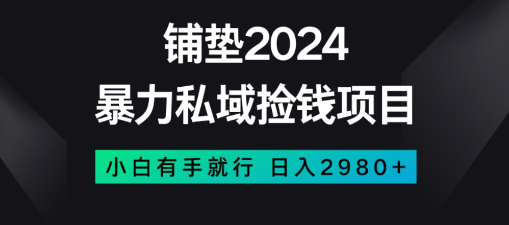 暴力私域捡钱项目，小白无脑操作，日入2980【揭秘】-学习资源库