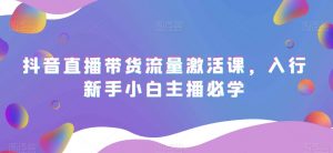 抖音直播带货流量激活课,入行新手小白主播必学-学习资源库