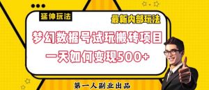 数据号回归玩法游戏试玩搬砖项目再创日入500+【揭秘】-学习资源库