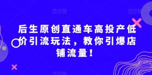 后生原创直通车高投产低价引流玩法,教你引爆店铺流量!-学习资源库