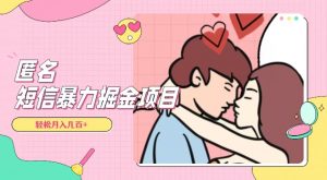 全网首发,揭秘超冷门匿名短信项目,通过信息差日入几百+【揭秘】-学习资源库