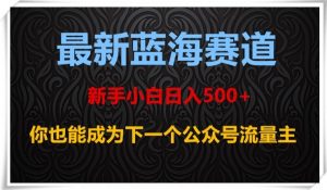 最新蓝海赛道,新手小白日入500+,你也能成为下一个公众号流量主【揭秘】-学习资源库