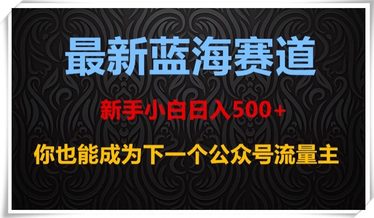 最新蓝海赛道，新手小白日入500+，你也能成为下一个公众号流量主【揭秘】-学习资源库