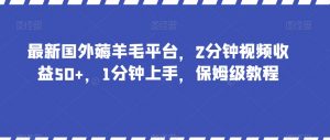最新国外薅羊毛平台，2分钟视频收益50+，1分钟上手，保姆级教程【揭秘】-学习资源库