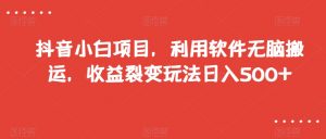抖音小白项目，利用软件无脑搬运，收益裂变玩法日入500+【揭秘】-学习资源库