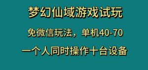 梦幻仙域游戏试玩,免微信玩法,单机40-70,一个人同时操作十台设备【揭秘】-学习资源库