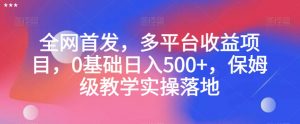 全网首发，多平台收益项目，0基础日入500+，保姆级教学实操落地【揭秘】-学习资源库