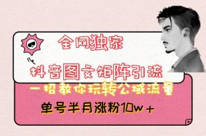 全网独家抖音图文矩阵引流，一招教你玩转公域流量，单号半月涨粉10w+【揭秘】-学习资源库