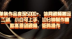 单条作品变现5000+、外网视频搬运二创,小白可上手,10分钟制作爆款高原创视频,矩阵操作【揭秘】-学习资源库