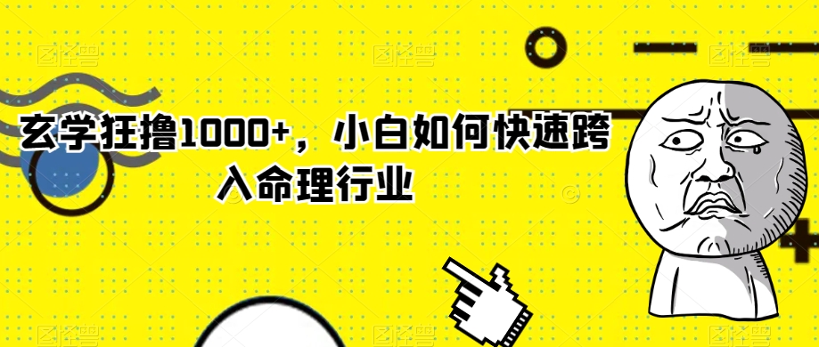 玄学狂撸1000+，小白如何快速跨入命理行业【揭秘】-学习资源库