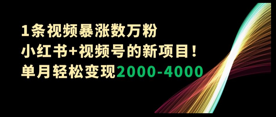 1条视频暴涨数万粉–小红书+视频号的新项目！单月轻松变现2000-4000【揭秘】-学习资源库
