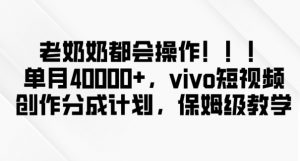 老奶奶都会操作,新平台无脑操作,单月40000+,vivo短视频创作分成计划【揭秘】-学习资源库