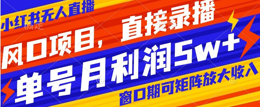 风口项目，小红书无人直播带货，直接录播，可矩阵，月入5w+【揭秘】-学习资源库