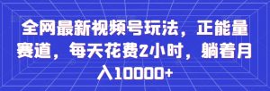 全网最新视频号玩法,正能量赛道,每天花费2小时,躺着月入10000+【揭秘】-学习资源库
