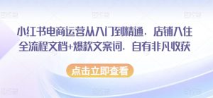 小红书电商运营从入门到精通,店铺入住全流程文档+爆款文案词,自有非凡收获-学习资源库