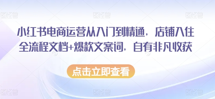 小红书电商运营从入门到精通，店铺入住全流程文档+爆款文案词，自有非凡收获-学习资源库