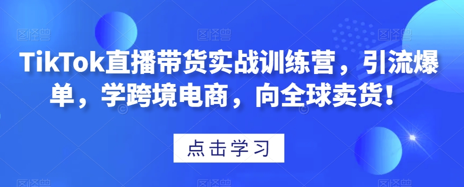 TikTok直播带货实战训练营，引流爆单，学跨境电商，向全球卖货！-学习资源库
