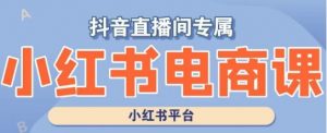 小红书电商高级运营课程,实操教学+案例分析-学习资源库
