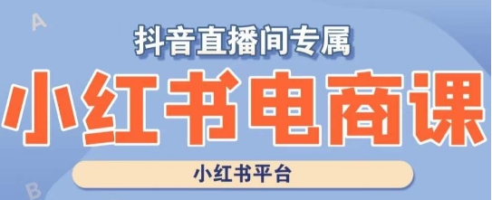 小红书电商高级运营课程，实操教学+案例分析-学习资源库