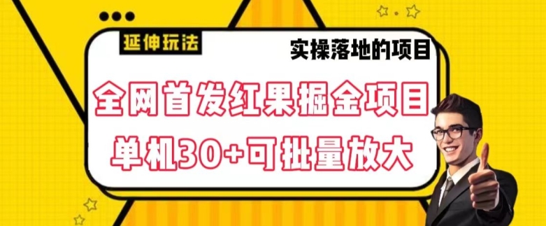 全网首发红果免费短剧掘金项目，单机30+可批量放大【揭秘】-学习资源库
