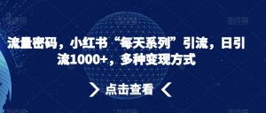流量密码,小红书“每天系列”引流,日引流1000+,多种变现方式【揭秘】-学习资源库