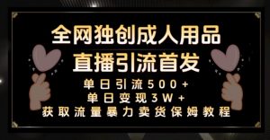 全网独创真人主播+无人直播单日引流500+,橙人用品暴力卖货单日变现3W+保姆似教学2.0【揭秘】-学习资源库