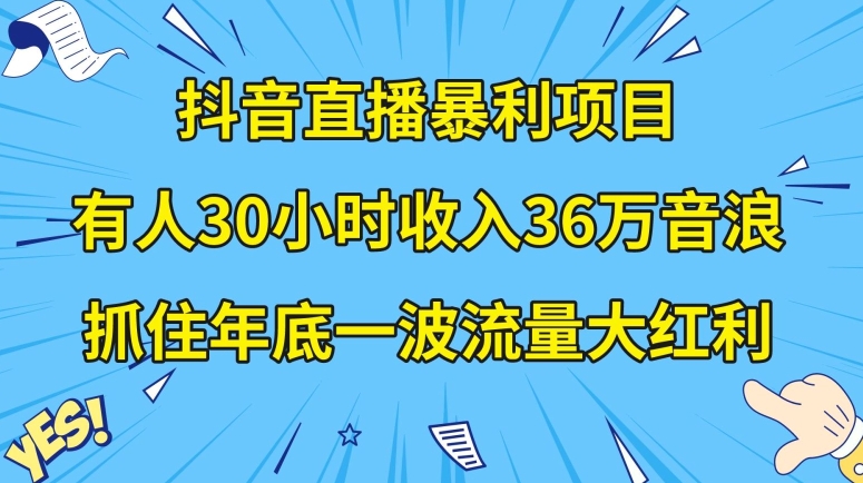 抖音直播暴利项目，有人30小时收入36万音浪，公司宣传片年会视频制作，抓住年底一波流量大红利【揭秘】-学习资源库
