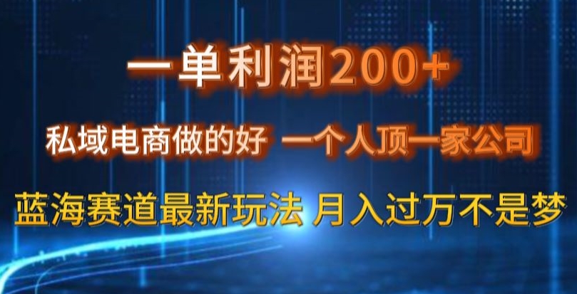 一单利润200私域电商做的好，一个人顶一家公司蓝海赛道最新玩法【揭秘】-学习资源库