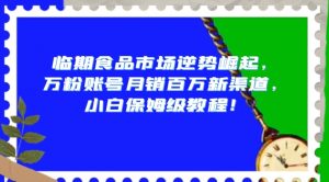 临期食品市场逆势崛起,万粉账号月销百万新渠道,小白保姆级教程【揭秘】-学习资源库