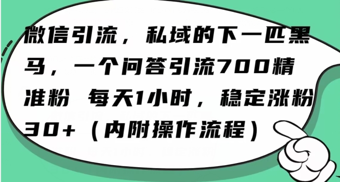 怎么搞精准创业粉？微信新赛道，每天一小时，利用Ai一个问答日引100精准粉-学习资源库