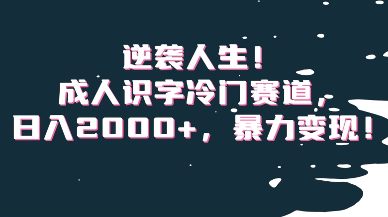 逆袭人生！成人识字冷门赛道，日入2000+，暴力变现！【揭秘】-学习资源库