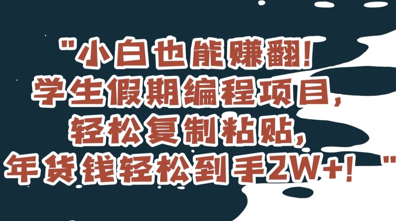 小白也能赚翻！学生假期编程项目，轻松复制粘贴，年货钱轻松到手2W+【揭秘】-学习资源库