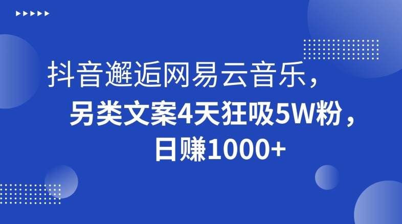 抖音邂逅网易云音乐，另类文案4天狂吸5W粉，日赚1000+【揭秘】-学习资源库