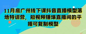 11月底广州线下课抖音直播模型落地特训营,短视频锤爆直播间的平播可复制模型-学习资源库