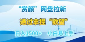 “赏颜”网盘拉新赛道,通过拿捏“欲望”日入1500+,小白易上手【揭秘】-学习资源库