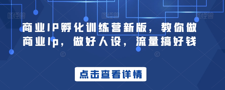 商业IP孵化训练营新版，教你做商业Ip，做好人设，流量搞好钱-学习资源库