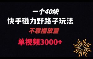 一个40块,快手联合美团磁力新玩法,无视机制野路子玩法,单视频收益4位数【揭秘】-学习资源库