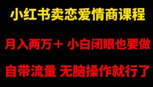 小红书卖恋爱情商课程,月入两万+,小白闭眼也要做,自带流量,无脑操作就行了【揭秘】-学习资源库