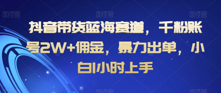 抖音带货蓝海赛道，千粉账号2W+佣金，暴力出单，小白1小时上手【揭秘】-学习资源库
