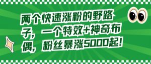 两个快速涨粉的野路子,一个特效+神奇布偶,粉丝暴涨5000起【揭秘】-学习资源库