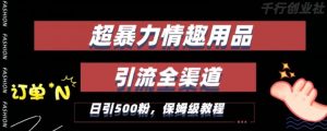 最新情趣项目引流全渠道,自带高流量,保姆级教程,轻松破百单,日引500+粉【揭秘】-学习资源库
