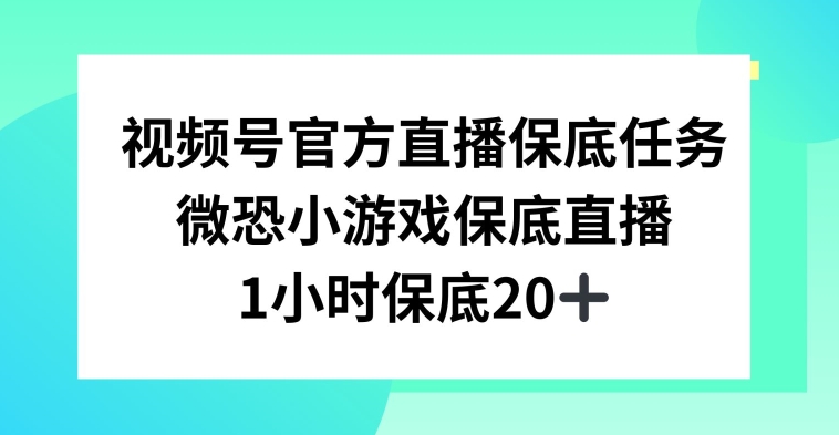 视频号直播任务，微恐小游戏，1小时20+【揭秘】-学习资源库