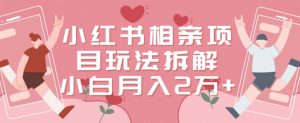 小红书相亲项目玩法拆解,有人通过这个副业项目做到了月收入2万多【揭秘】-学习资源库