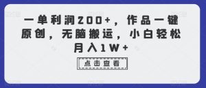 一单利润200+,作品一键原创,无脑搬运,小白轻松月入1W+【揭秘】-学习资源库