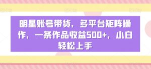 明星账号带货,多平台矩阵操作,一条作品收益500+,小白轻松上手【揭秘】-学习资源库