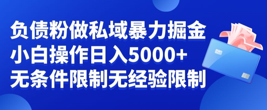 负债粉私域暴力掘金，小白操作入5000，无经验限制，无条件限制【揭秘】-学习资源库