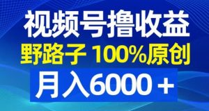 视频号野路子撸收益,100%原创,条条爆款,月入6000+【揭秘】-学习资源库